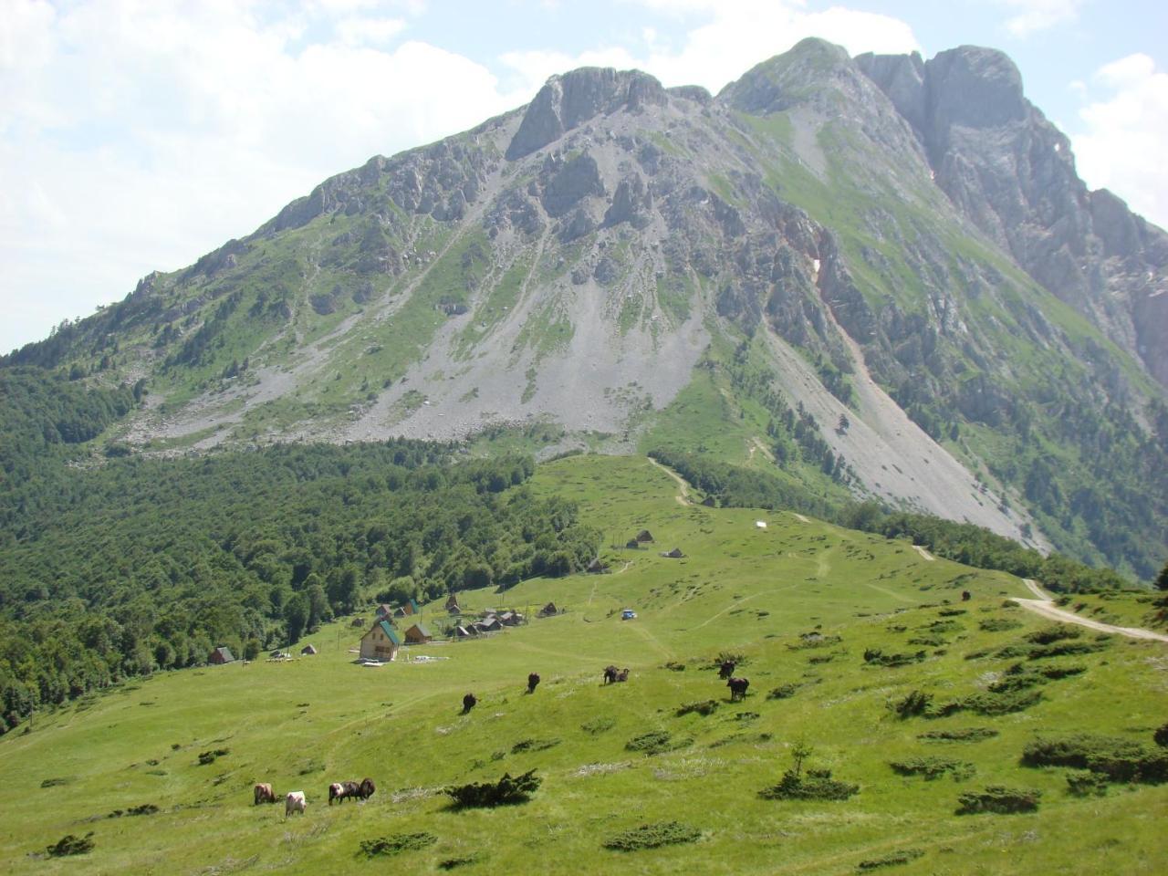 Komovi Eko Katun Villa Andrijevica Dış mekan fotoğraf