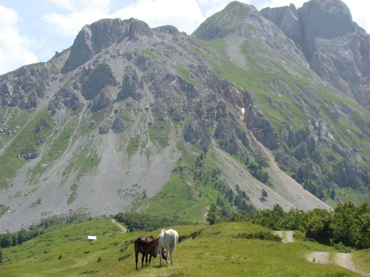 Komovi Eko Katun Villa Andrijevica Dış mekan fotoğraf